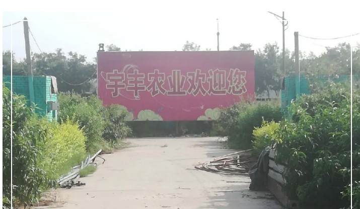 建一個市場、興一方產(chǎn)業(yè)、富一方百姓，孝義農(nóng)產(chǎn)品大市場產(chǎn)供銷一體化在行動！