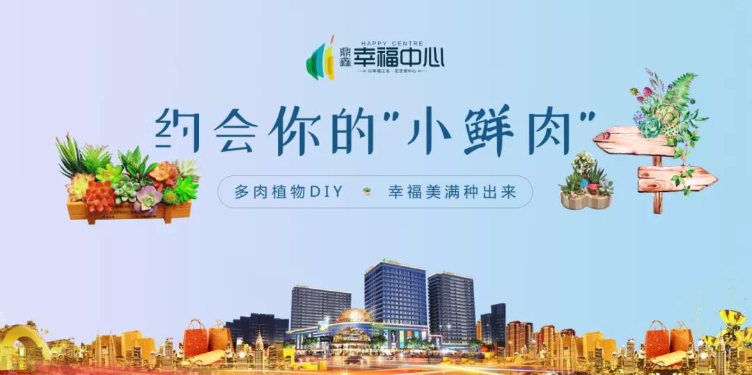 約會你的“小鮮肉” 多肉植物DIY，幸福美滿種出來