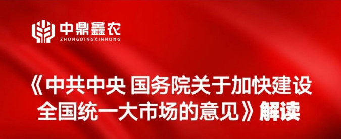 《中共中央 國務(wù)院關(guān)于加快建設(shè)全國統(tǒng)一大市場(chǎng)的意見》解讀