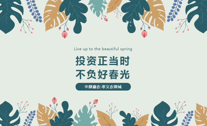 孝義唯一大產(chǎn)權(quán)的農(nóng)批商鋪，投資有保障！